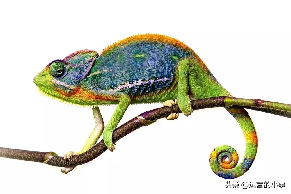 二十种逻辑思维,逻辑思维的30个技巧书籍