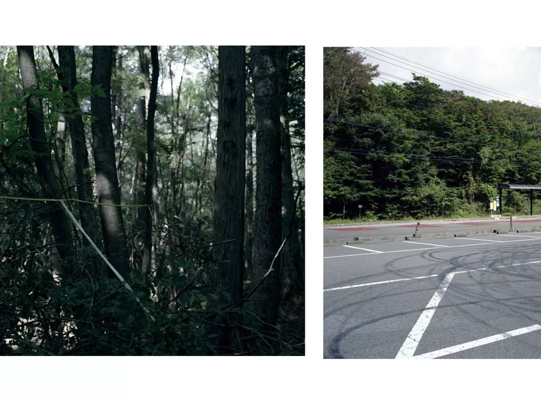 好友自杀后，他独自探访自杀胜地，有惊人发现