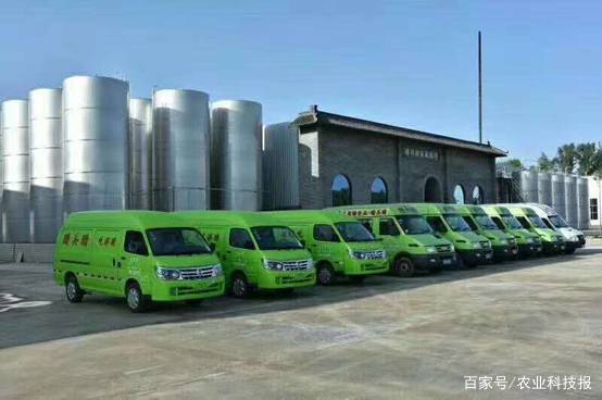 百年非遗老陈醋,醋百年古法传承