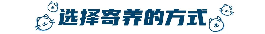 假期要把宠物送去寄养,以下5件事一定要做