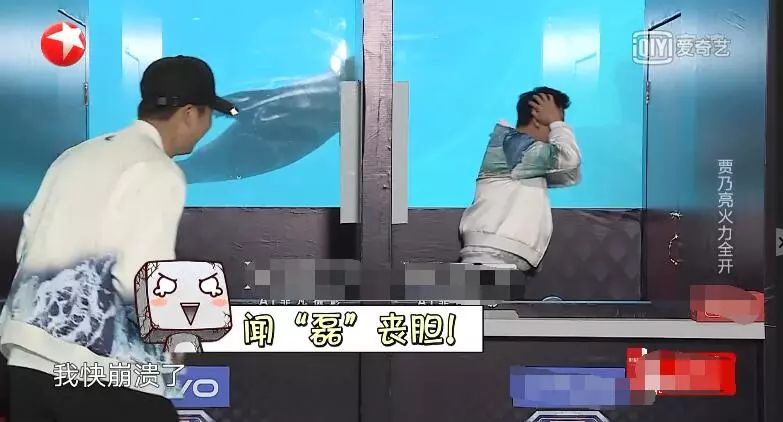 朱碧石罗志祥搞笑视频集锦,罗志祥朱碧石表演视频