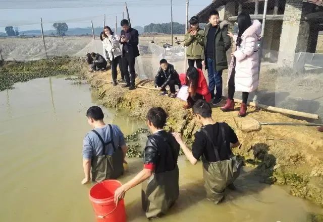 疫情下的农村项目,疫情农村创业