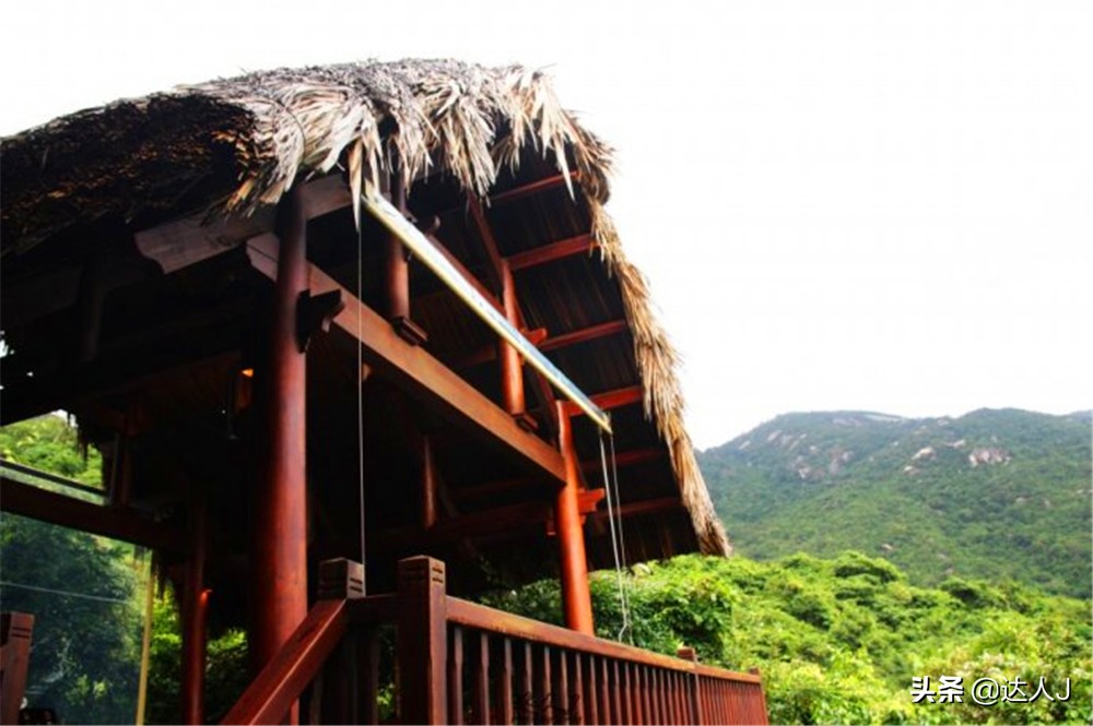 小天越南直播,小天独家视频全集