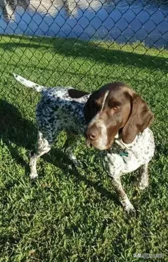 闻毒品味会有危害吗,闻毒品气味算吸毒吗