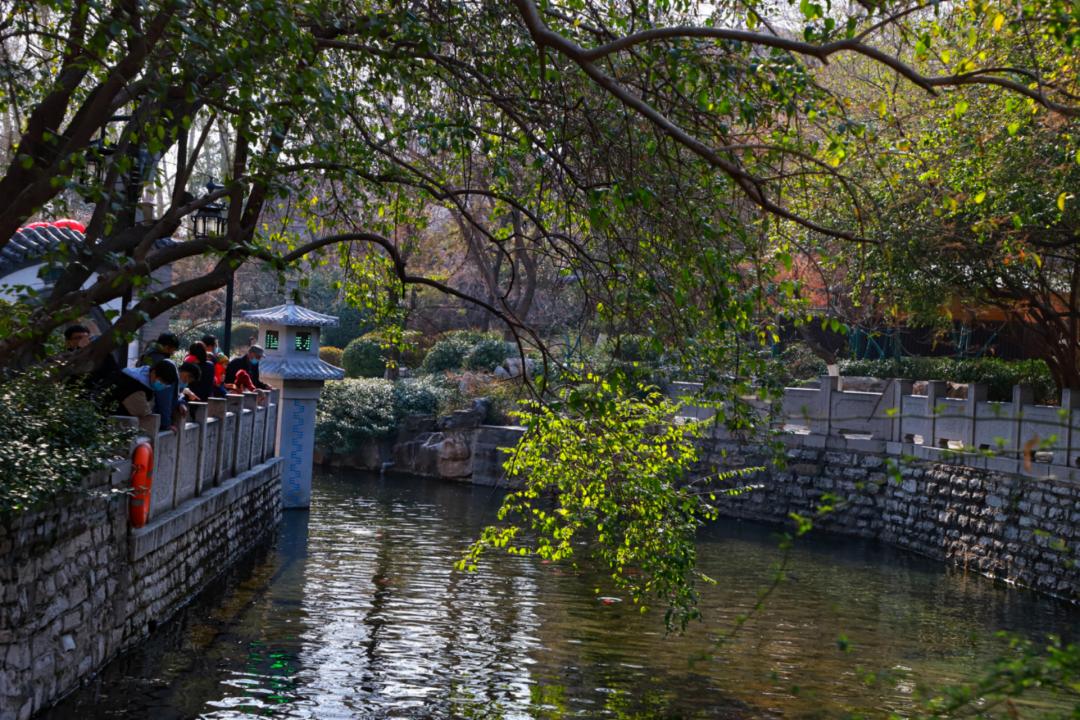 春天里最美的花儿，语文课本上的天下第一……一定要带孩子来