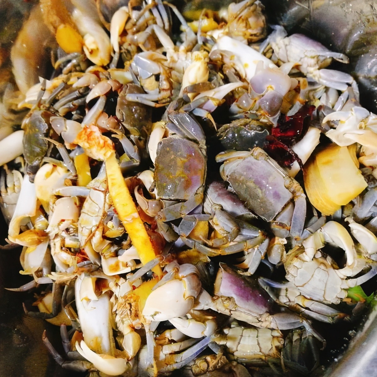 非洲大蜗牛入侵我国，有何可怕之处？为什么吃货也不敢吃？