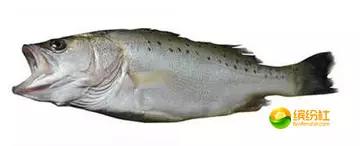 舟山海鲜攻略2天3晚吃什么,舟山海鲜代加工攻略