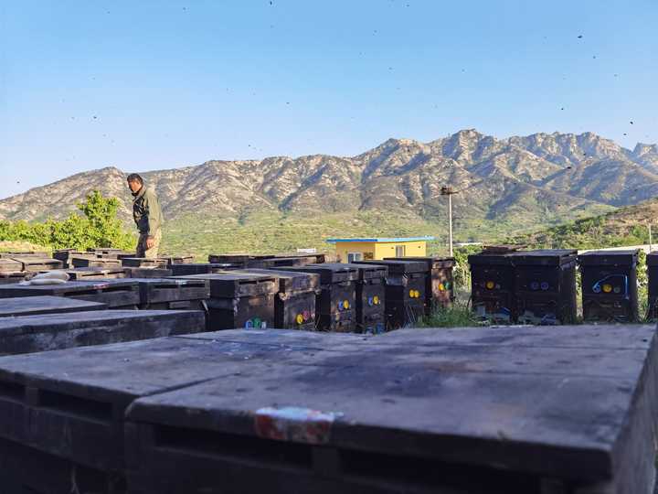 什么蜂蜜好，想买点给父母吃？