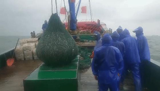 在这个足足2万平的奇妙海鲜“商场”，我找到了赚钱的动力