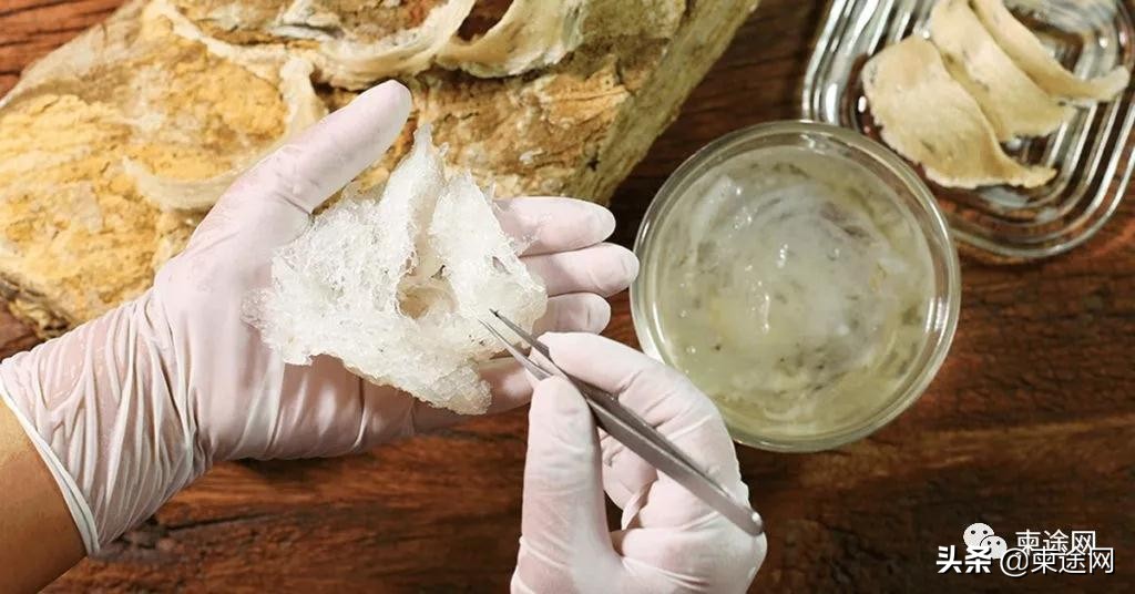 柬埔寨燕窝中国可以进口吗,柬埔寨燕窝能带多少回中国