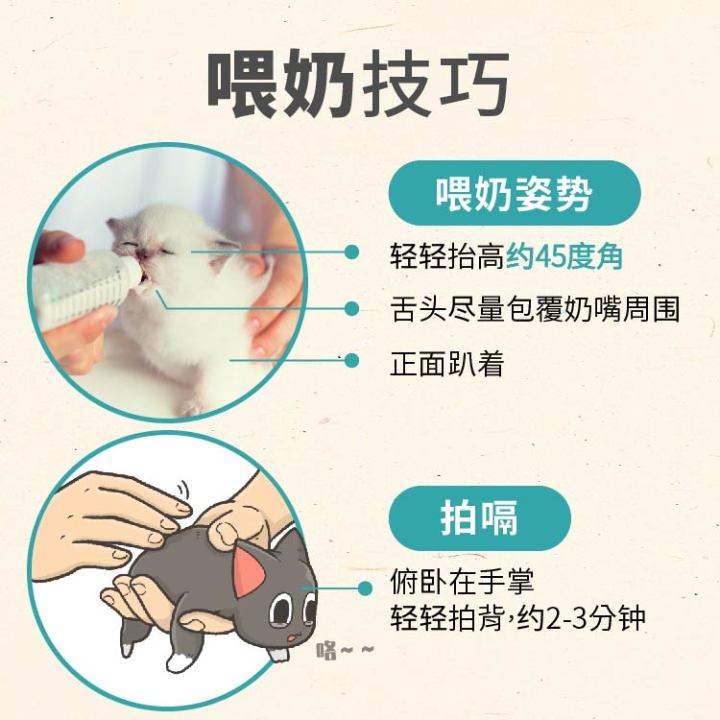 刚买的幼猫怎么养正确方法图文,养幼猫怎么教用猫砂