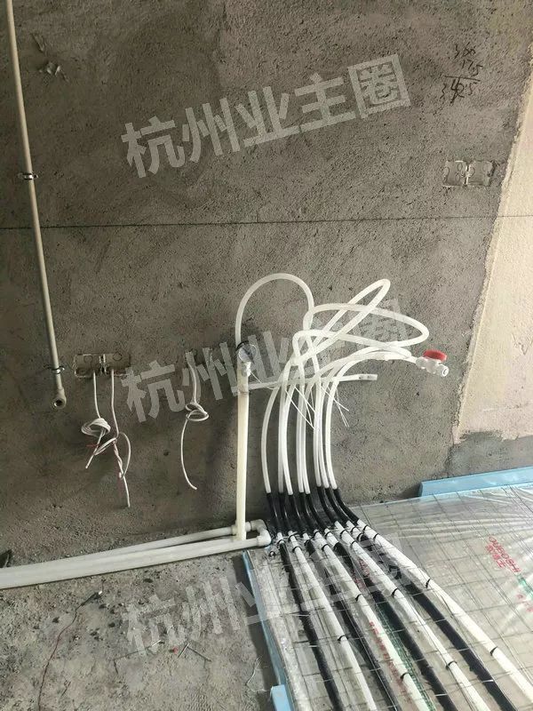 绿都什么意思,绿都包括哪些绿