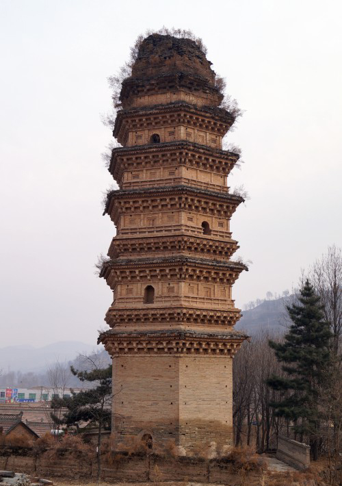 庆阳自然保护区,甘肃省有几个自然保护地