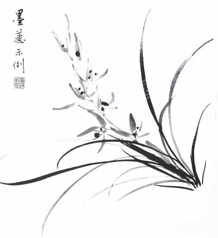 工笔兰花画法步骤详解,兰花的十种画法讲解