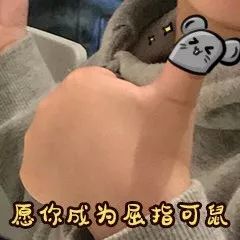 为啥鼠能排12生肖老大？先把这份拜年祝福语读懂再说