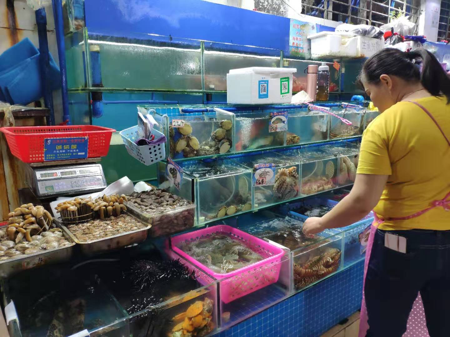 广州夫妻5天旅游攻略,广州夫妻去三亚旅游攻略