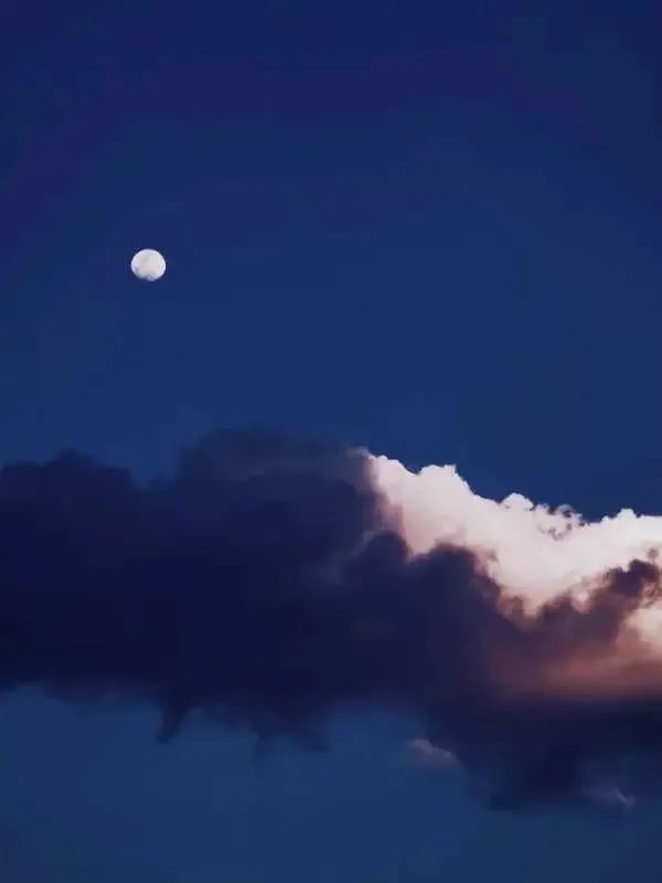 大家用手机拍出过什么好看的照片,赞别人的照片拍摄得好的句子