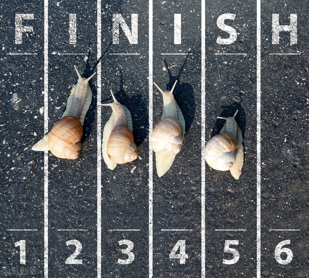 金龟子昆虫介绍视频,金龟子昆虫与甲虫