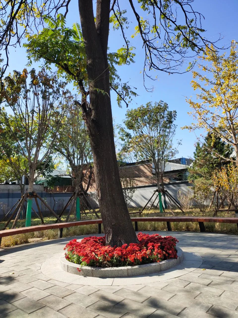 天坛附近公园有哪些,天坛公园周边有什么可逛的