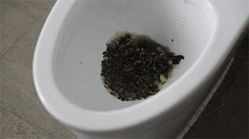 如厕冲水,厕所冲水便捷