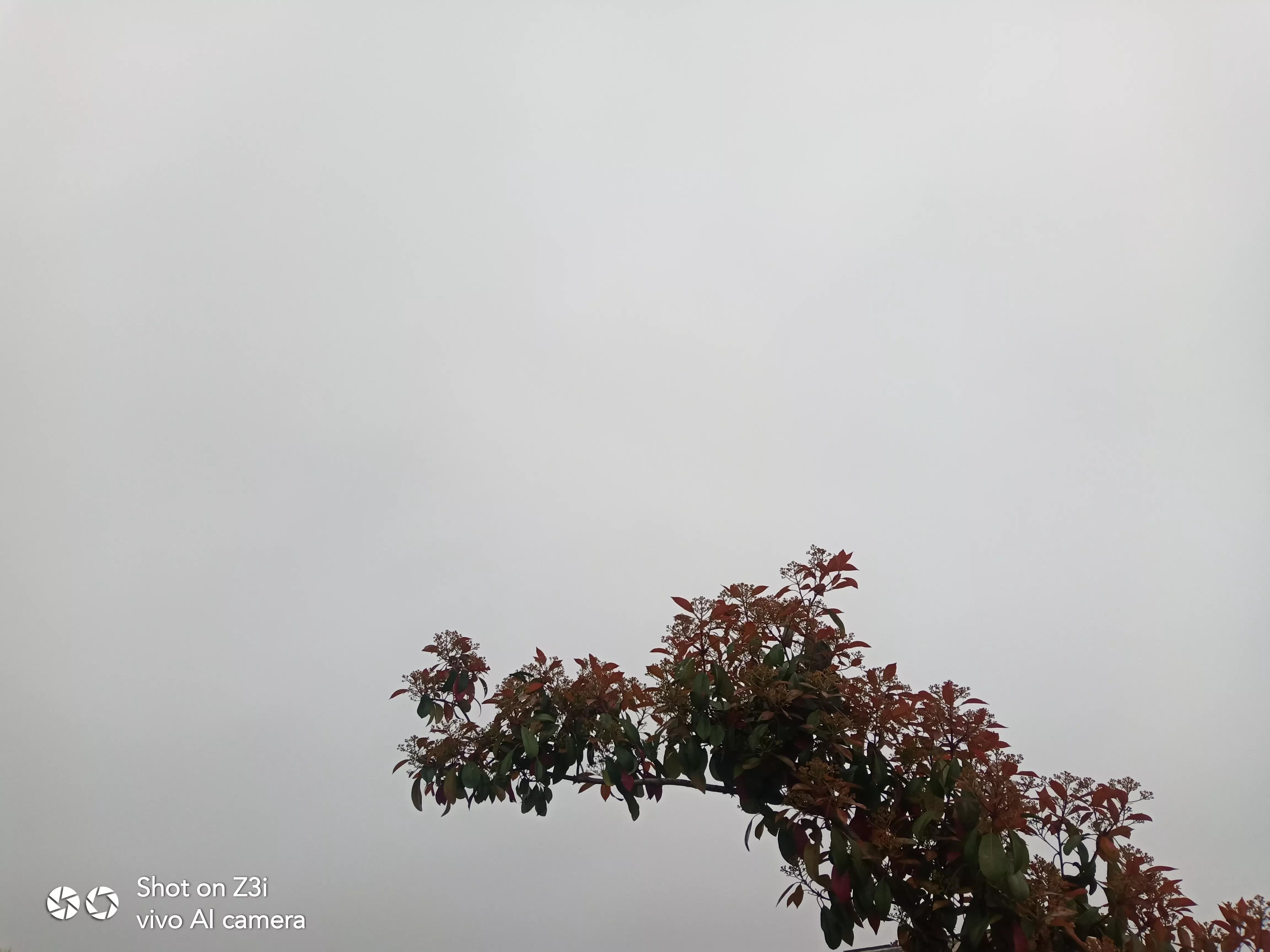 与青春期的儿子斗智斗勇,和青春期孩子斗智斗勇