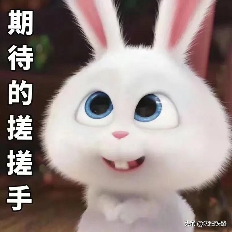 学生票一定要去取吗,学生票什么时候取