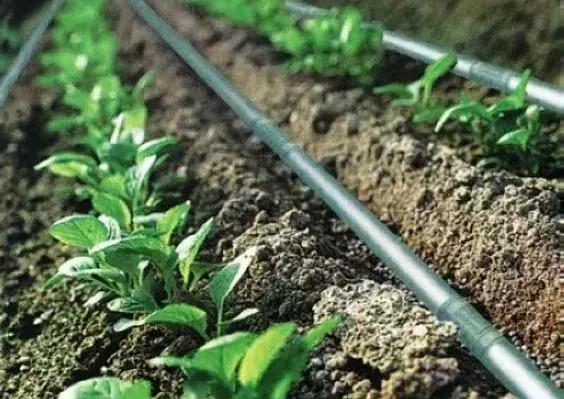 水肥一体化滴灌简易制作,农田滴灌制作全过程