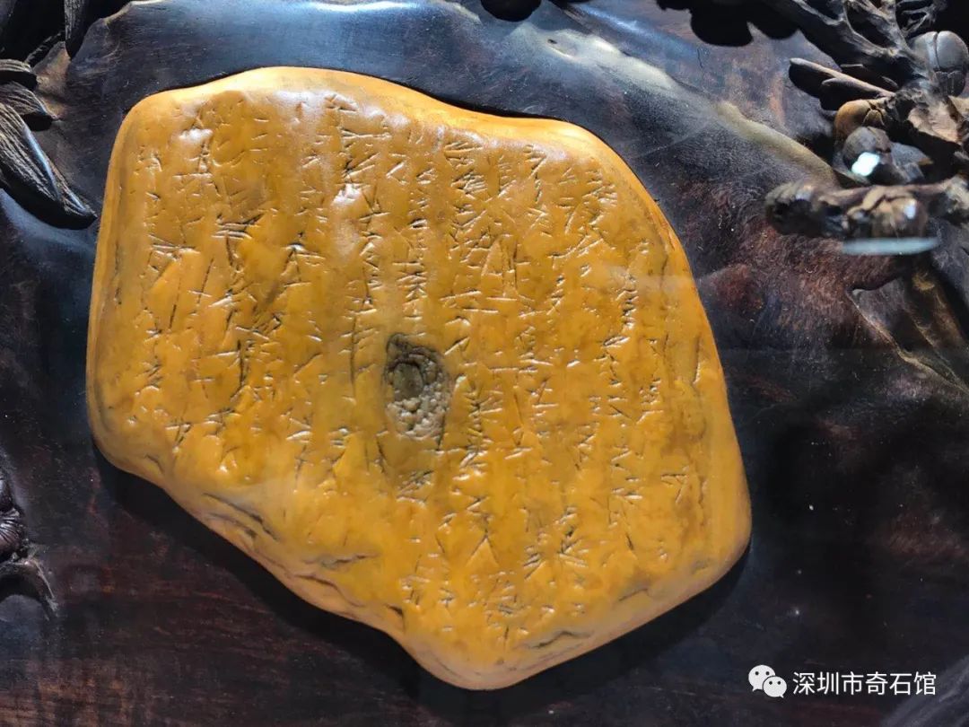 2022杭州金奖黄蜡石,浙江省黄蜡石欣赏一下