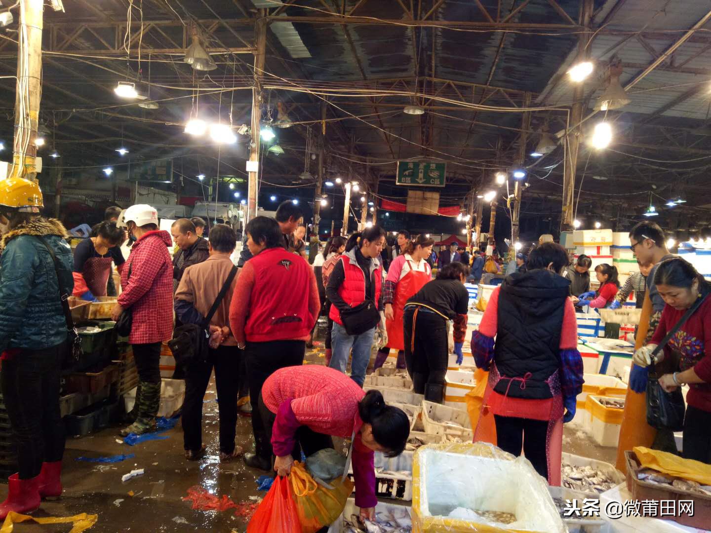 莆田的海鲜批发市场,莆田最大的海产品批发市场在哪里