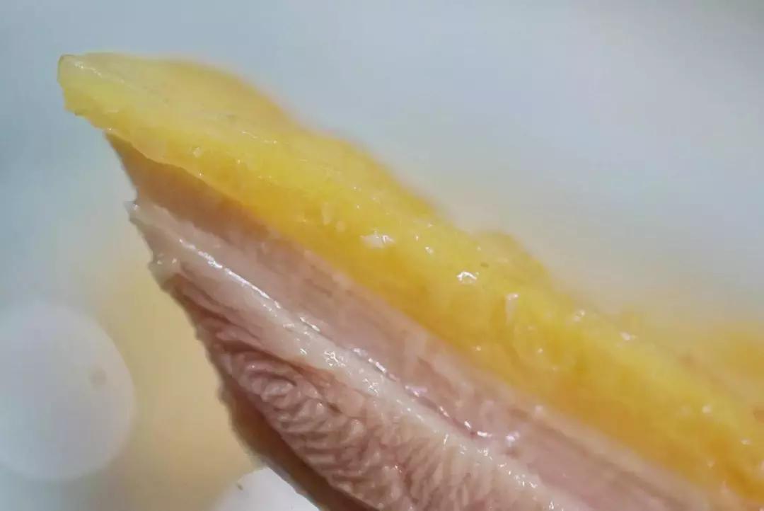 广州老乡村大排档,顺德正宗电饭煲焗鸡