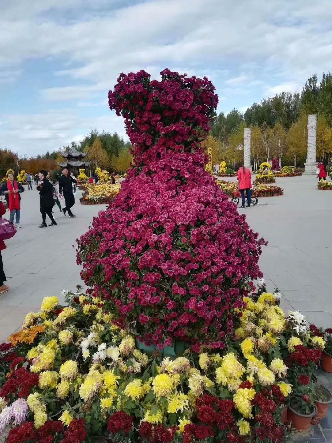 菊香九月香,菊花飘香散文