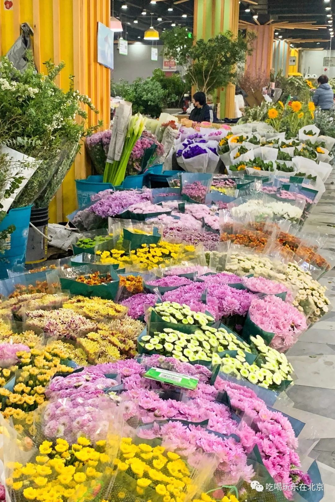北京花市攻略大全,北京最美赏花景点