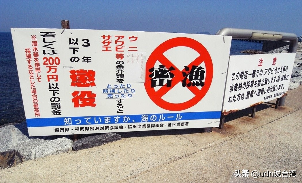 生鱼片与*力暴**团：日本非法“密渔”的暗黑餐桌