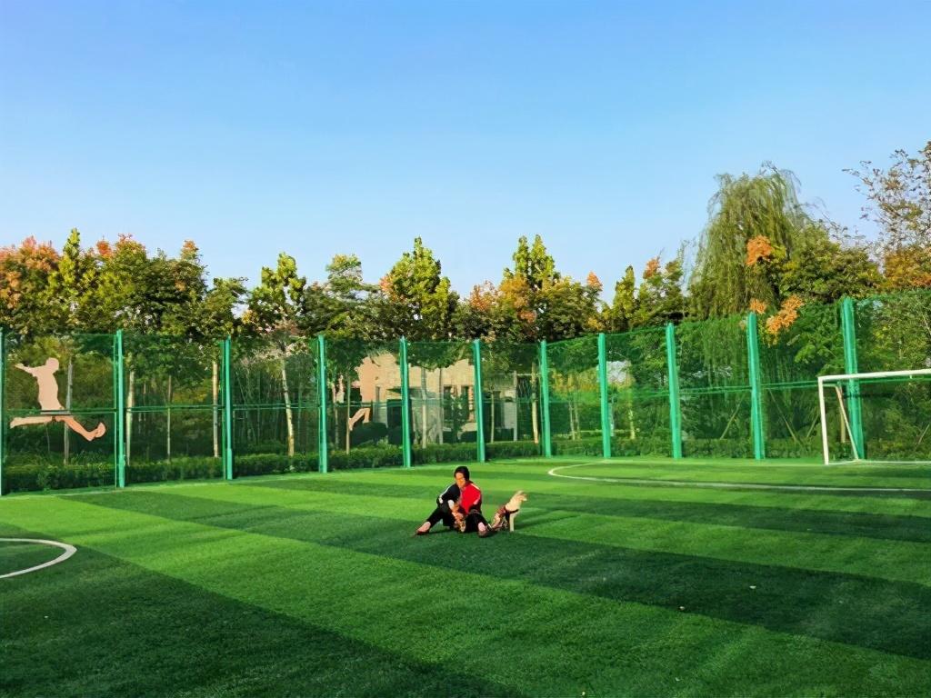洛阳粉色花海,洛阳近郊惊现绝美花海