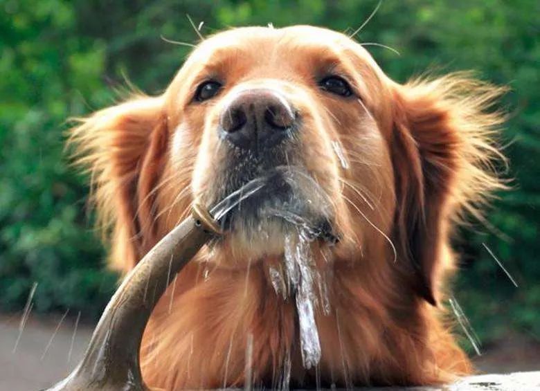 科普一下喝水的技巧,喝水也有大讲究正确方式学起来