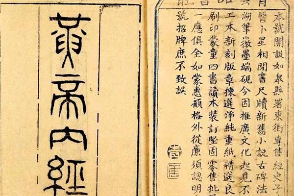 对中医诊断的理解,中医讲的气血是什么