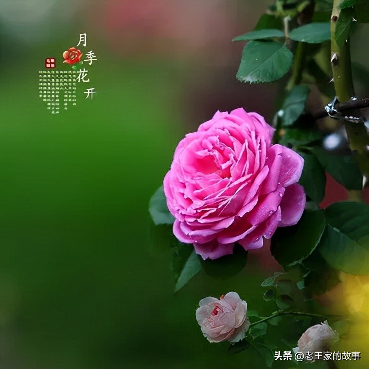 与人交谈的三大忠告,交谈的禁忌行为