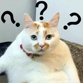 花钱买一堆护肤品不如做一次医美,重金买精华有用吗