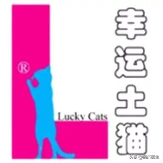 物业给小区流浪猫绝育视频,业主凑20万给流浪猫绝育