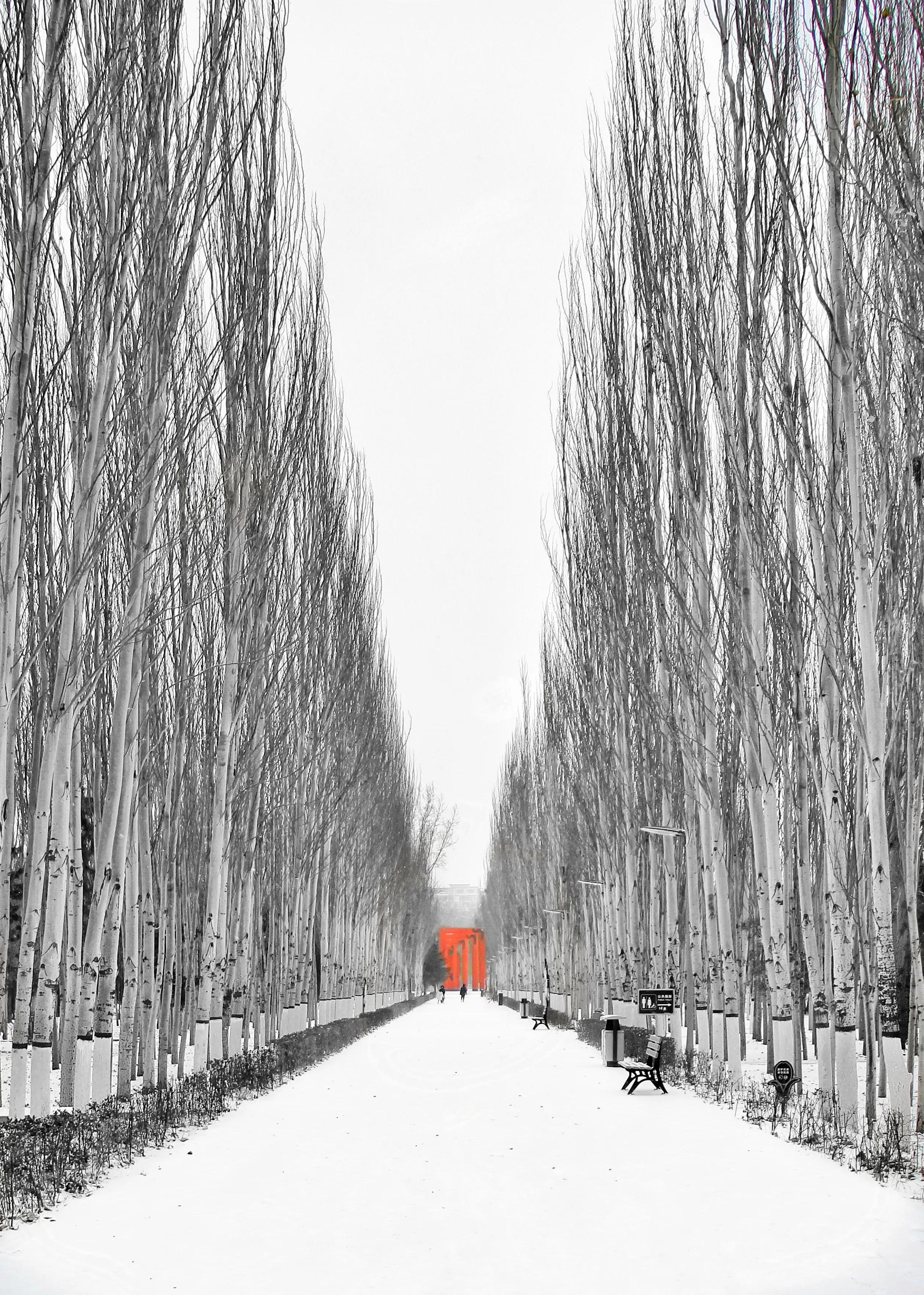 包头清雪,包头初雪航拍