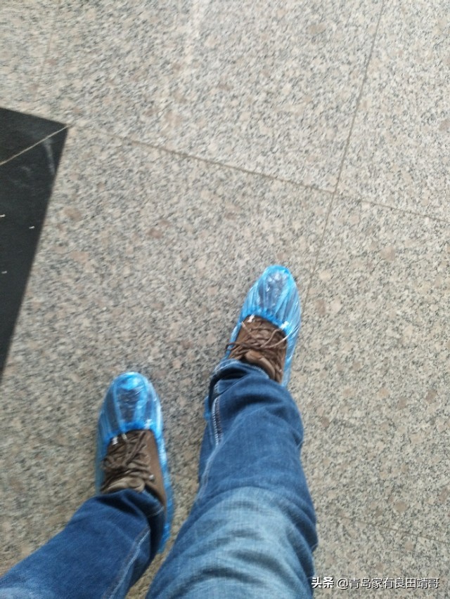 脱毒阳光玫瑰葡萄苗,阳光玫瑰特级苗