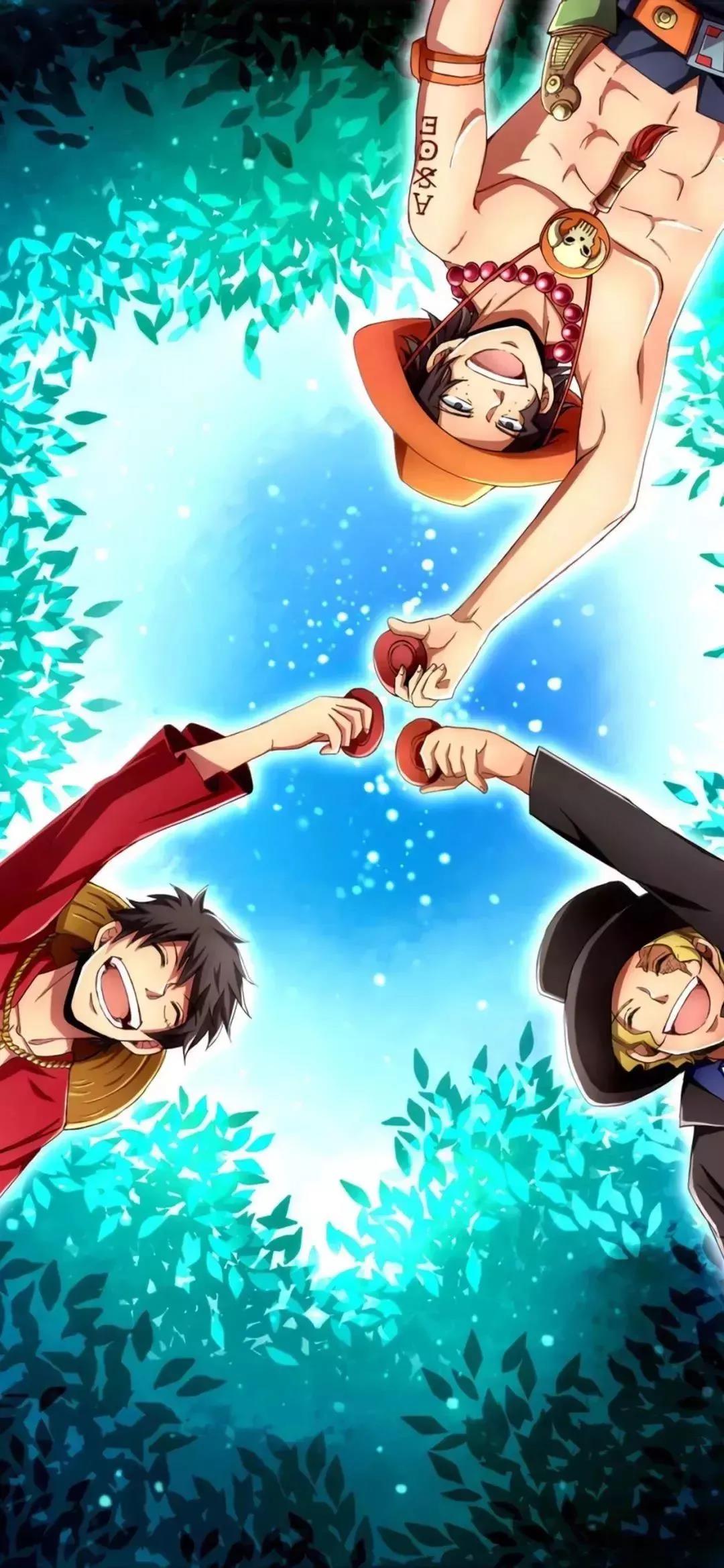 高清海贼王动漫壁纸,壁纸海贼王电脑壁纸