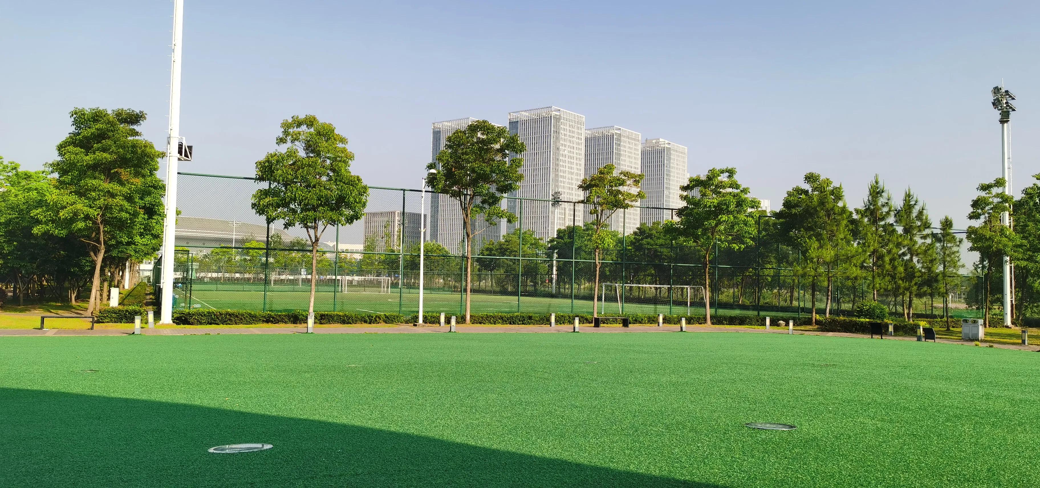 沌口足球主题公园,沌口足球公园场地分布图