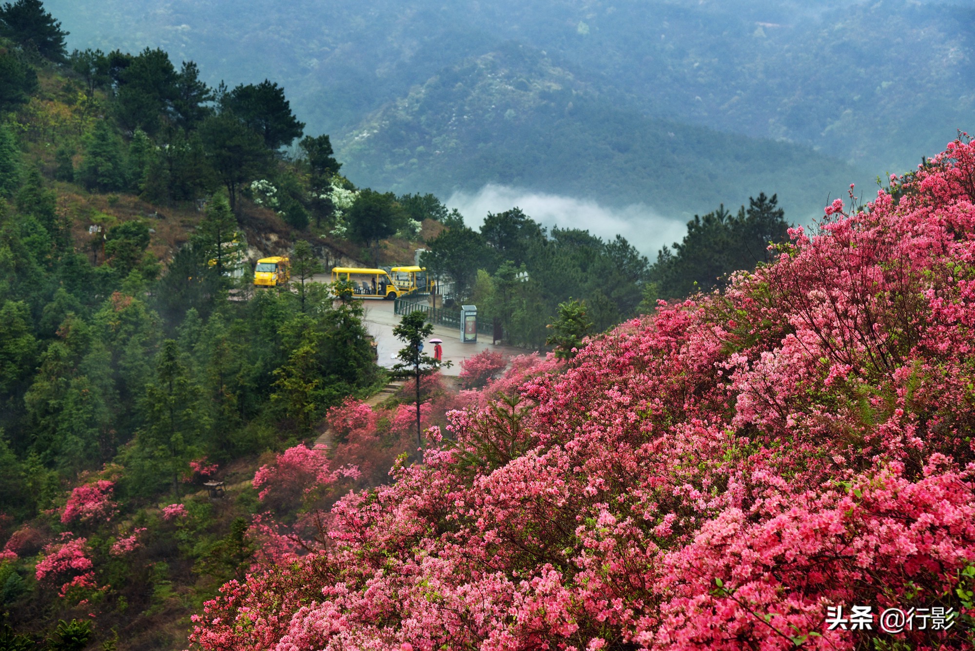 武汉青山网红打卡景点,云雾山武汉