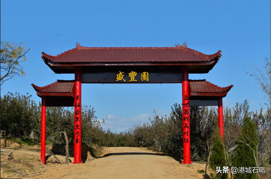 石岛即将开发的项目,石岛的项目