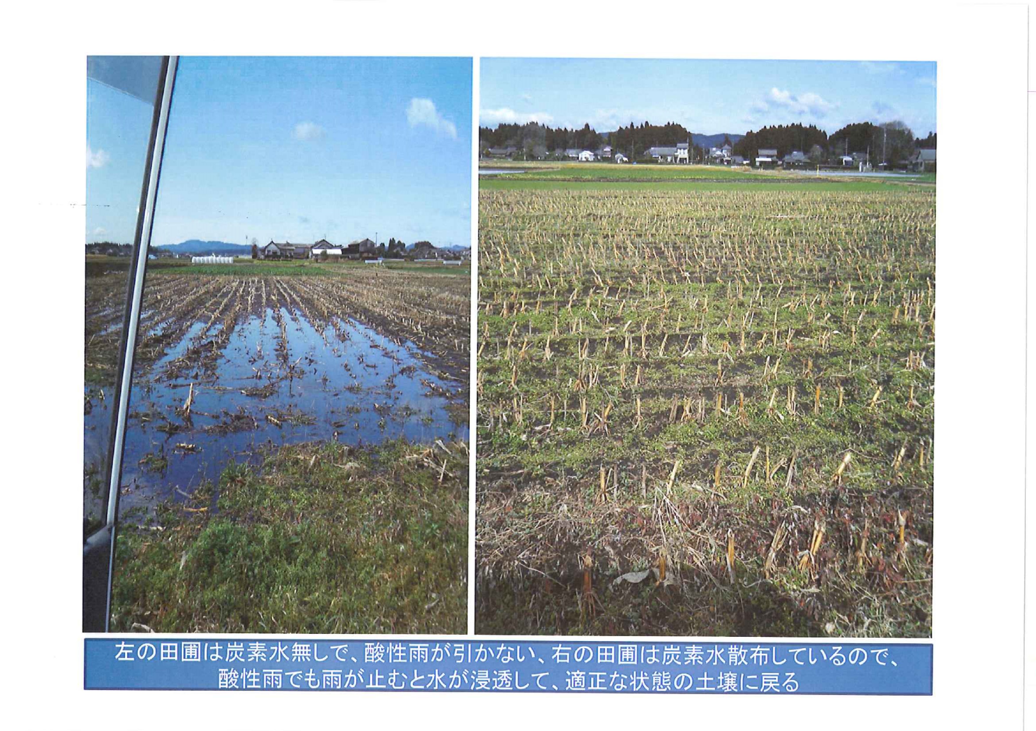 赵猛石墨烯,国家石墨烯联盟赵猛