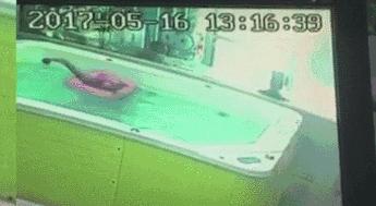 带宝宝去的婴儿游泳项目关了，知道真相后，我把婴儿游泳这词删了