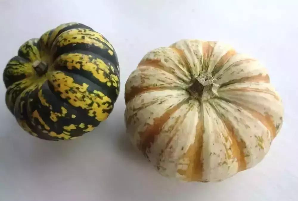 南瓜挂件钩针教程,钩针南瓜小挂件图解