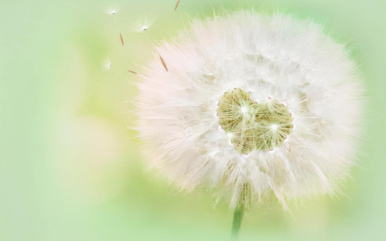 男人出轨冷落自己该怎么应对呢,当男人冷落你时最好的回击方式