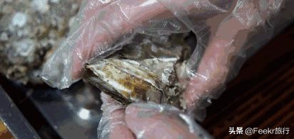 广东著名渔港开渔,广东开渔季节